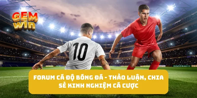 Forum Cá Độ Bóng Đá - Thảo Luận, Chia Sẻ Kinh Nghiệm Cá Cược